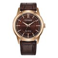 Reloj Citizen Rolan