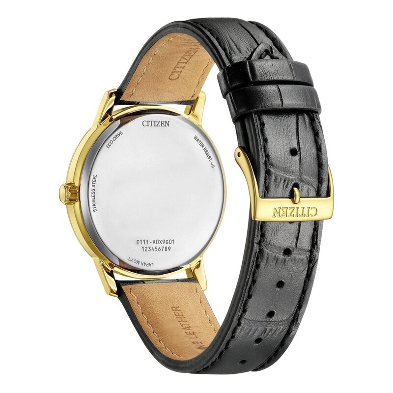 Reloj Citizen Eco Drive Pair BM6756-01A